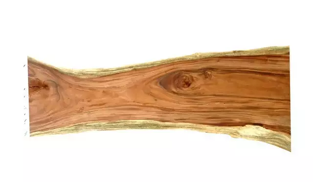 熊猫体育官方网站