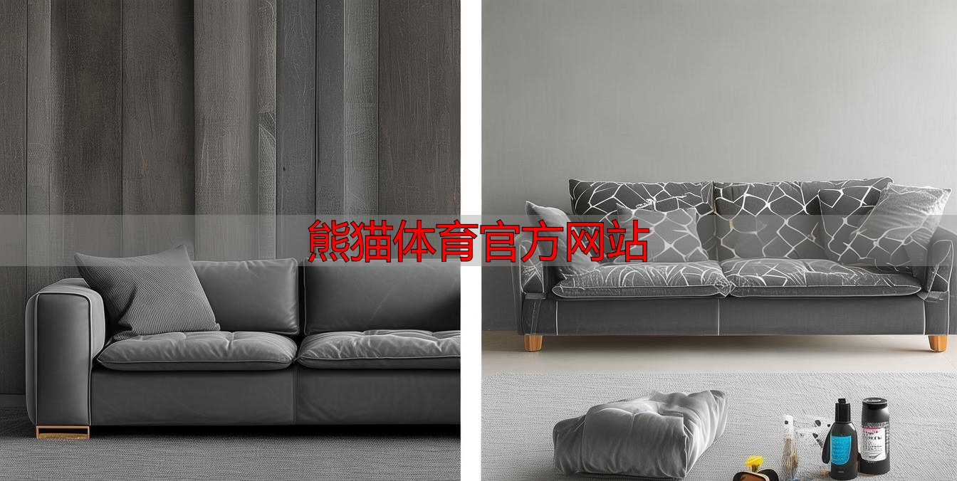 熊猫体育官方网站