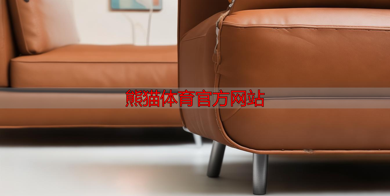 熊猫体育官方网站