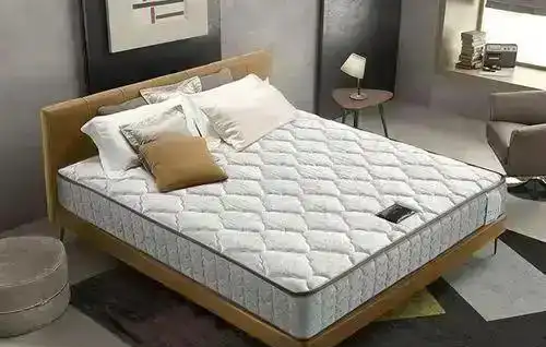 熊猫体育官方网站