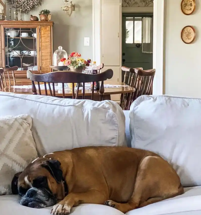 熊猫体育官方网站