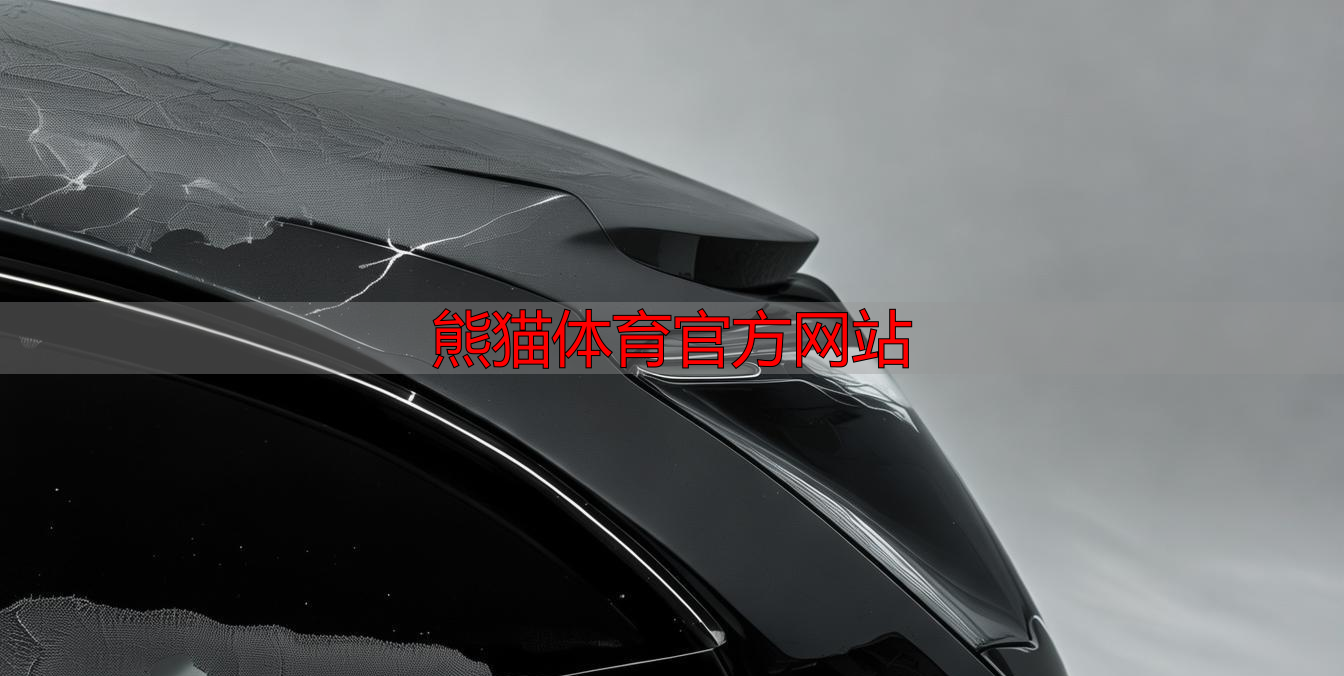 熊猫体育官方网站