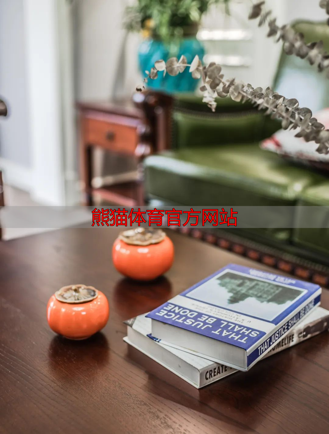 熊猫体育官方网站