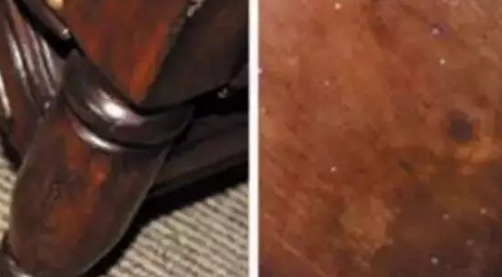 熊猫体育官方网站