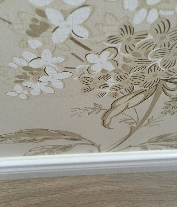 熊猫体育官方网站