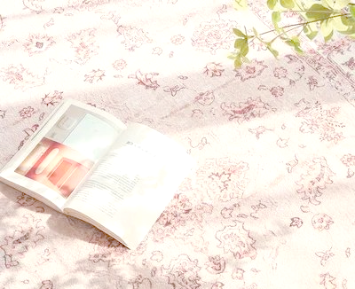 熊猫体育官方网站