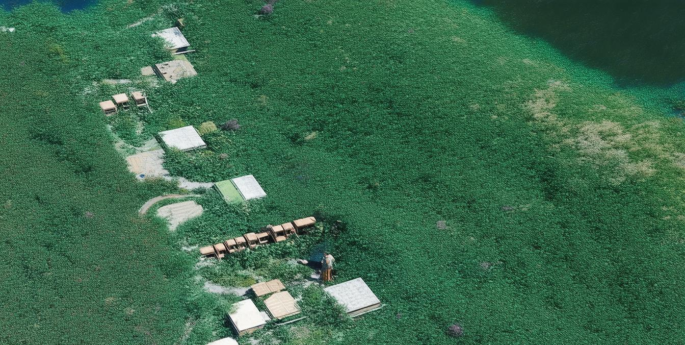 熊猫体育官方网站