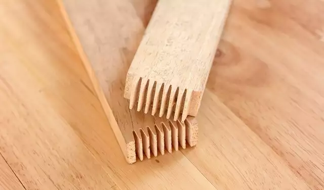 熊猫体育官方网站